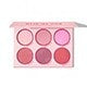 Floral Flush Blush Palette — image 2
